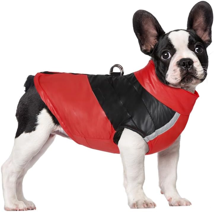 犬用暖かい防風コート、冬用ペット犬用ジャケット