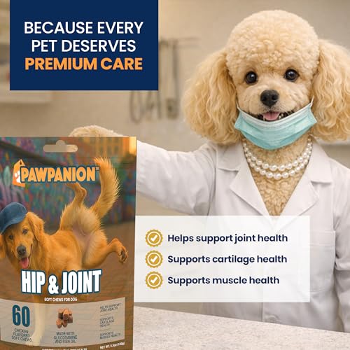 Image of Dog Hip and Joint Soft Chews with Glucosamine, 60 Count | Chondroitin, MSM, green lipped mussel and collagen support cartilage, flexibility and comfortable movement.