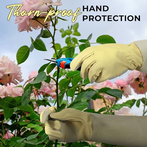 Image of HANDLANDY Rose Pruning Gloves for Men Women, Thorn Proof Gardening Gloves | Long Leather Gardening Gloves, Breathable Leather Gauntlet, Best Garden Gifts & Tools for Gardener (Vanilla, XL)