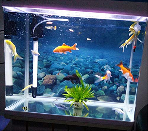 Donau 12" 16" 20" 24" High Aquarium Background Poster Rock Ocean Double Sides Fish Tank Landscape Backdrop Wall Paper Décor (24" H X71 L) #TOP1