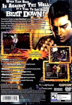 Video Game Beat Down - Fists of Vengeance Book