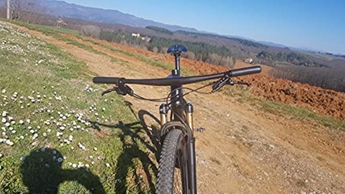 In fibra di carbonio integrato MTB manubrio della