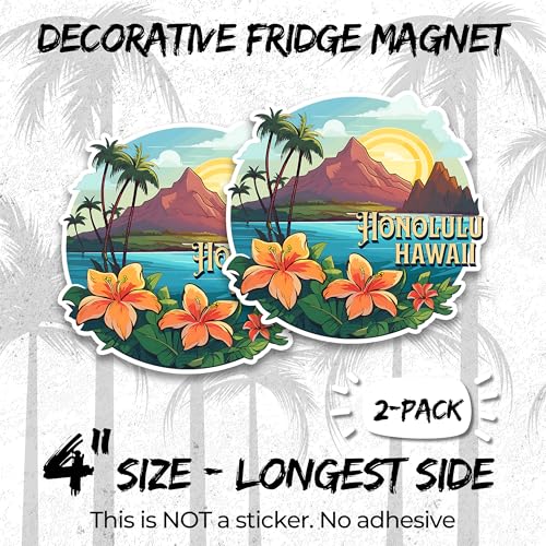 Imán decorativo 4 pulgadas 2 unidades Hawaii miniatura 2