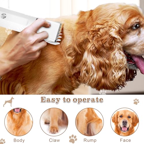 NXPZ 4-in-1 Haustier Schermaschine Set, Leise Haustier Fellpflegegerät, Mit 4 Multifunktion Schneidköpfen, USB-C Schnellladung, Geeignet für Katzen und Hunde Pfoten, Augen, Ohren und Gesicht