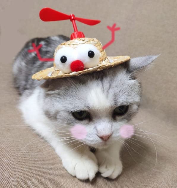Amazon | LUCHUAN ペット麦わら帽子 犬用 猫用 麦わら帽子 が付いて