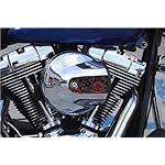 Gothic-Red-Roses-Air-Cleaner-Cover-Insert-by-Kustom-Cycle-Parts-Replaces-Stock-Harley-Davidson-Twin-Cam-103-Insert-Proudly-Made-in-the-USA