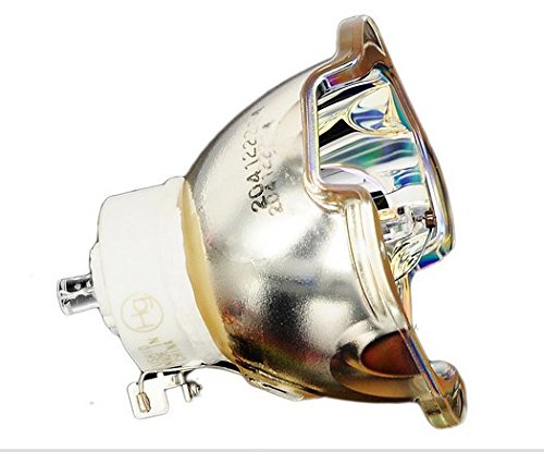 キヤノン WUX5000用交換ランプ RS-LP07 5017B001 oyj0otl Amazon | キヤノン RS-LP07 WUX5000用交換ランプ | キヤノン | 電球