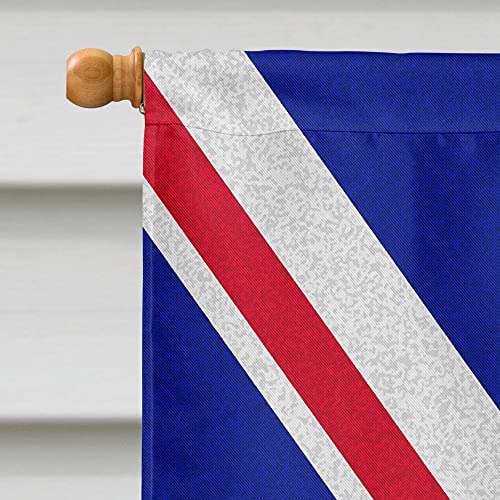 Caniche blanc et drapeau britannique Union Jack grand format grand pavillon - 4