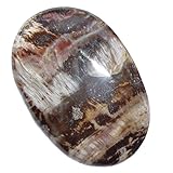 Chakrazuordnung: 3. Chakra Holz versteinert aus Madagaskar flacher Trommelstein Handschmeichler ca. 45 x 30 mm gute Steinqualität und Polierung.(3888)