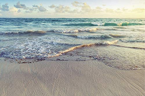 Scenolia Tableau sur Toile LA Plage 60 x 40 cm Cover