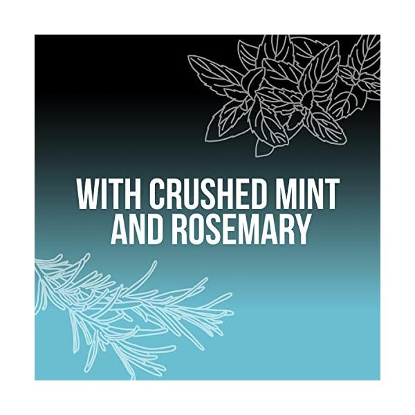 AXE-Mens-Body-Wash-for-a-Clean-and-Cool-Feel-Phoenix-Dermatologist-Tested-Body-Wash-for-Men-16-oz-4-Count AXE Body Wash Phoenix 4 Count 12h Refreshing Scent Crushed Mint & Rosemary Men's Body Wash with 100% Plant-Based Moisturizers 16 oz