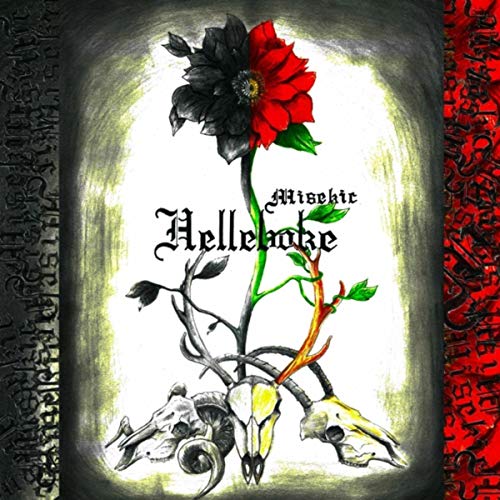  Hellebore