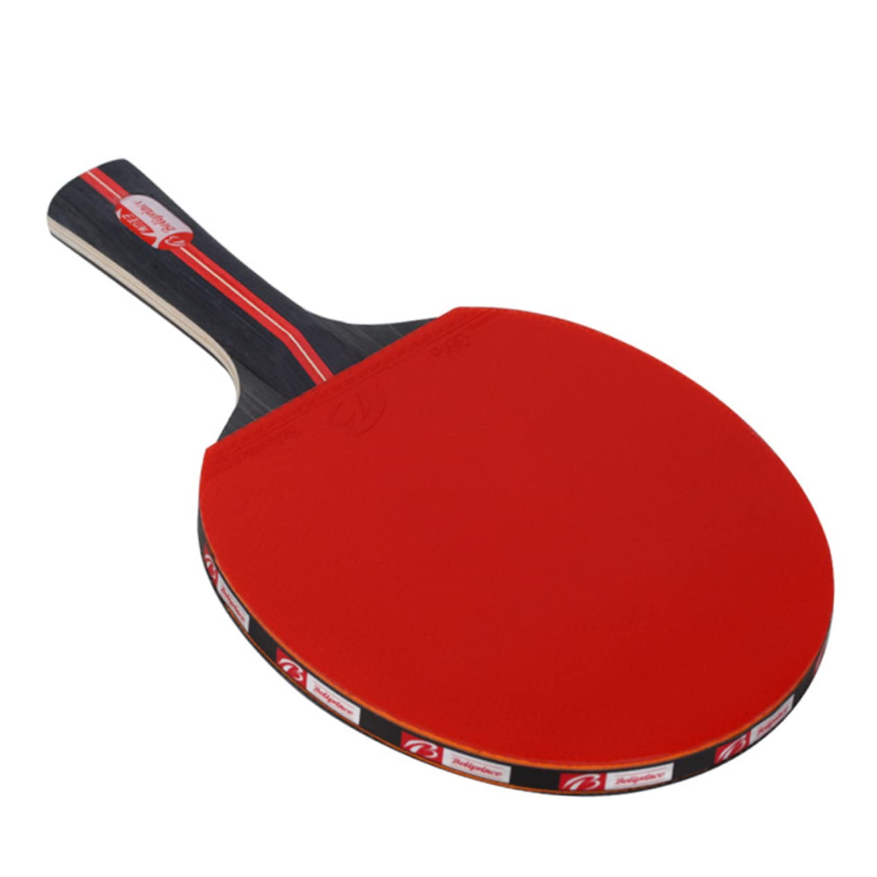 GOOHOCHY Beginner Table Tennis Racket Set Sport Pong Paddles Balls Horizontal Suit for Ages