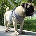LOS ANDES Hundegeschirr & Katzengeschirr, Reflektierend, Weich Gepolstert, Air-Mesh Brustgeschirr für Kleine Hunde & Katzen, XS (Brust: 24-27cm), Grau, Gestreift