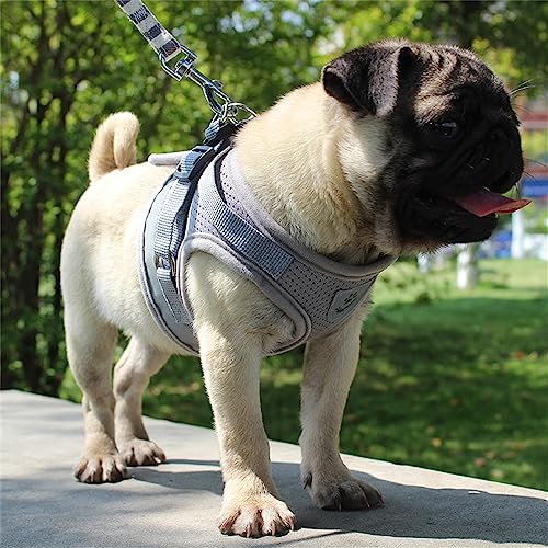 LOS ANDES Hundegeschirr & Katzengeschirr, Reflektierend, Weich Gepolstert, Air-Mesh Brustgeschirr für Kleine Hunde & Katzen, XS (Brust: 24-27cm), Grau, Gestreift