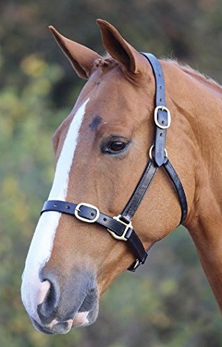 Shires Blenheim Fully Adjustable Leather Headcollar-Havana Full