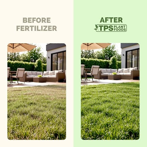 Fertilizante Líquido para Césped Buffalo Grass 1 Galón miniatura 3