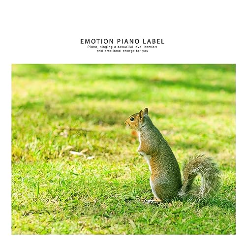 Play A compilation of comfortable sound sleep music to listen to before