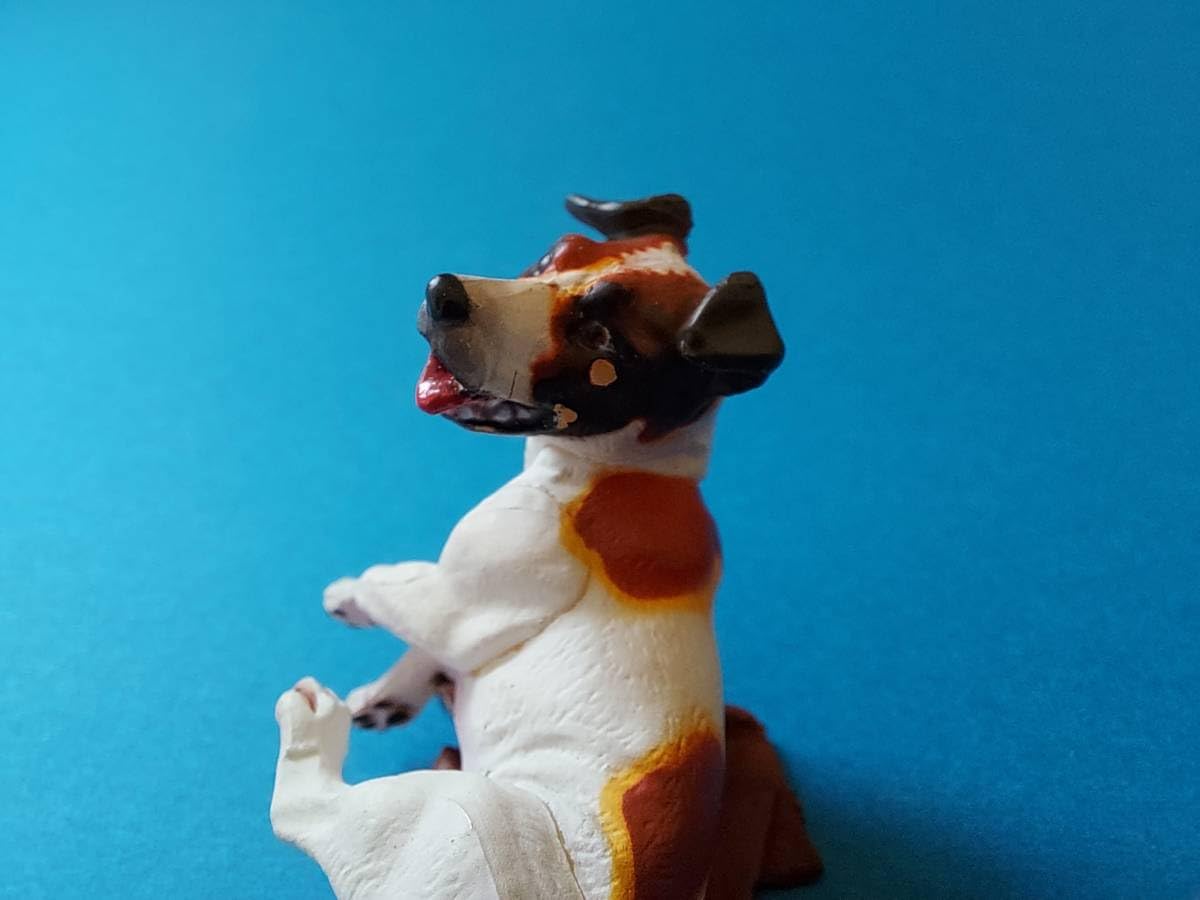 Amazon.co.jp: ジャックラッセルテリア トライカラーチョコQ アニマ