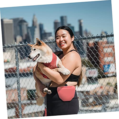 Ipetboom Bolsa De Petisco Para Cães Bolsa Pequena Para Petiscos Para Cães Bolsa Para Petiscos Para C