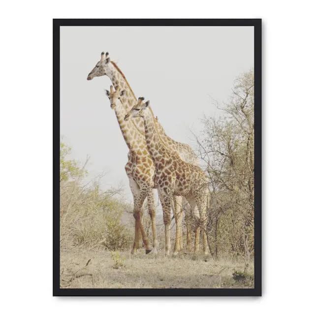 Cuadro Giraffe in the Savana II FASE5 - Tableau Déco Girafe de la Savane