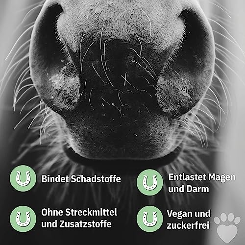 PetPlus® ZEOLITH Klinoptilolith Pulver Pferd 750g & 3kg, Premium Qualität, 100% natürlich, Keine Konservierungsstoffe, allergenfrei, Detox (3000g)