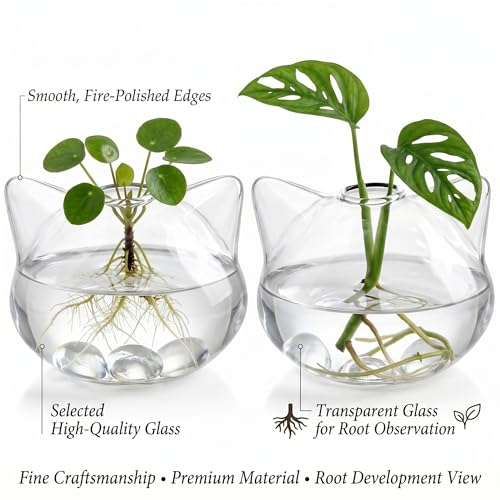 Vase à fleurs de chat et pot de propagation transparent pour plantes