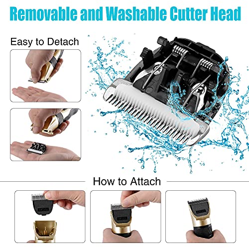 Bonve Pet Tondeuse Chien Professionnelle Tondeuse Chien Poil Long Epais Electrique Tondeuse pour Chien pour Chats et Animaux Silencieux Electrique Tondeuse pour Chien et Chat Dog Clipper Kit - Image 5