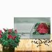 Outsidepride Hibiscus Luna Red Flower Plant Seed - 10 Seeds
