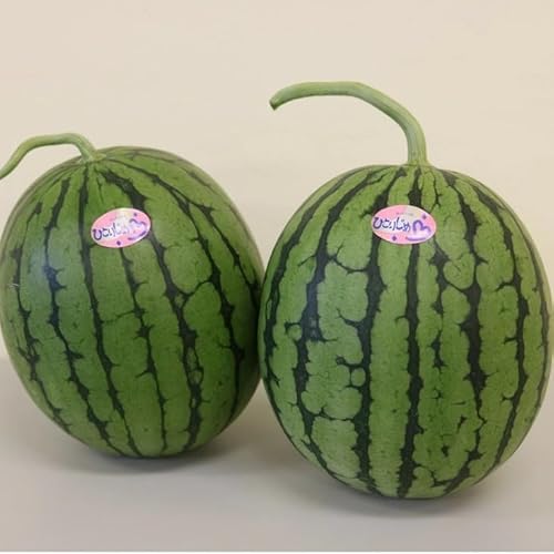 はし長 和歌山県産 小玉すいか ひとりじめ L〜2L寸(2玉約4〜5kg)[先行予約][2026年5月中旬頃から順次発送予定]