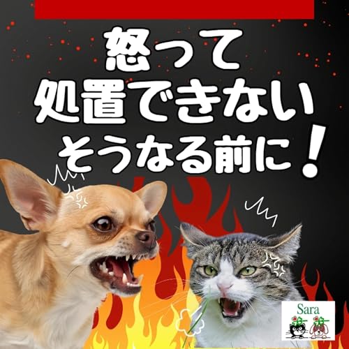 #1016. 犬猫・動物が怒って処置できない：そうなる前に！