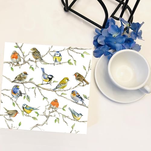 20-ct-65-Bird-Napkins-for-Decoupage-Beautiful-Napkins-Bird-Paper-Napkins-Mothers-Day-Napkins-Spring-Napkins-Paper-Decorative-Napkins-Decoupage-All-Season-Napkins-Pretty-Napkins-Fathers-napkins 20 ct 65 Bird Napkins for Decoupage Beautiful Napkins Bird Paper Napkins Mothers Day Napkins Spring Napkins Paper Decorative Napkins Decoupage All Season Napkins Pretty Napkins Fathers napkins