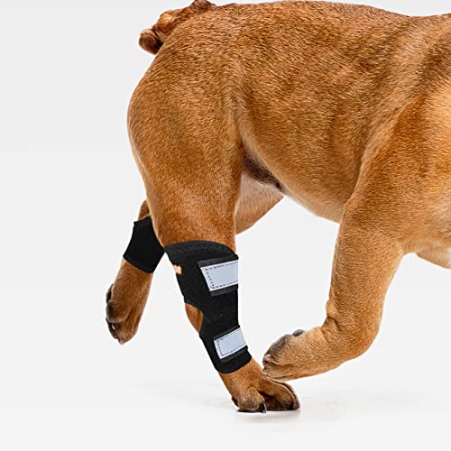NeoAllyÂ® - Rear Leg Hock Brace with Metal Spring Strips, Dog Leg Brace for Rear Leg, Hock and Ankle Support, Rear Dog Leg Brace for Smaller Dogs, Short Version, XL, 1 Pair