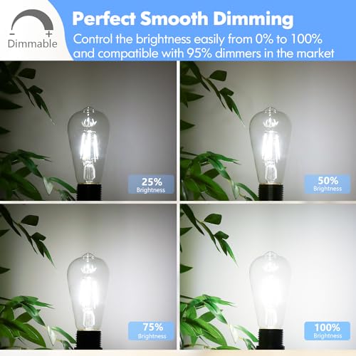 Image of Dimmable ST58 Antique Clear Vintage Edison LED Light Bulbs, 5000K Daylight, E26 Medium Base, 4W (40W Equivalent), CRI90+ High Brightness for Home - Pack of 4