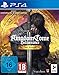 Produktbild Kingdom Come Deliverance Royal Edition [Playstation 4]