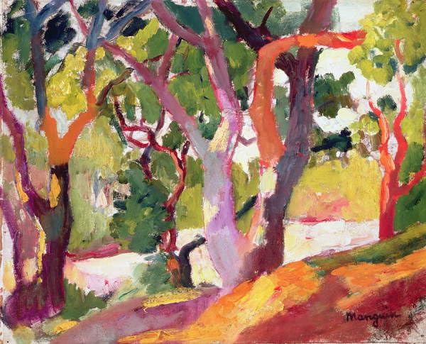 Tableau arbre Henri Charles Manguin toile 60x90cm modern