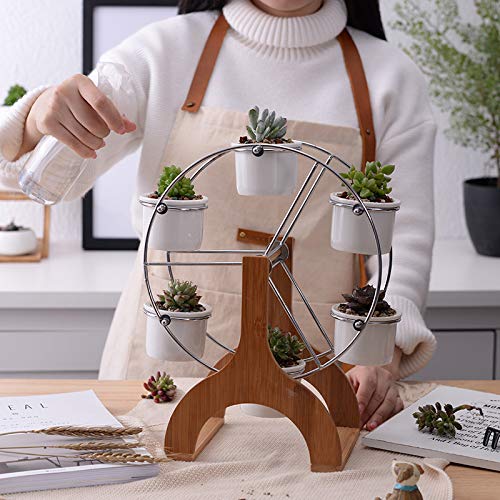 Succulent-Planter-Set-Indoor-Plant-Pot-Ferris-Wheel-Plant-Stand-with-6-Pots Succulent Planter Set Indoor Plant Pot Ferris Wheel Plant Stand with 6 Pots