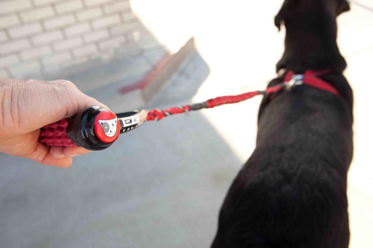 EzyDog Cujo Shock Absorbing Bungee Dog Leash - Best Dog Rope Training Lead - Reflective Trim for Nighttime Safety - Padded Pull Handle for Superior Comfort and Control (25", Red)