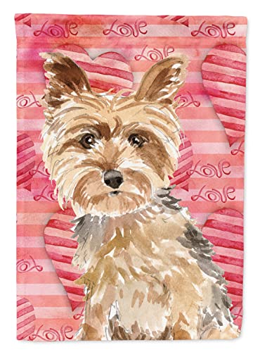 Yorkshire Terrier Flag Caroline's Treasures pavillon multicolor grand format pour maison - 2