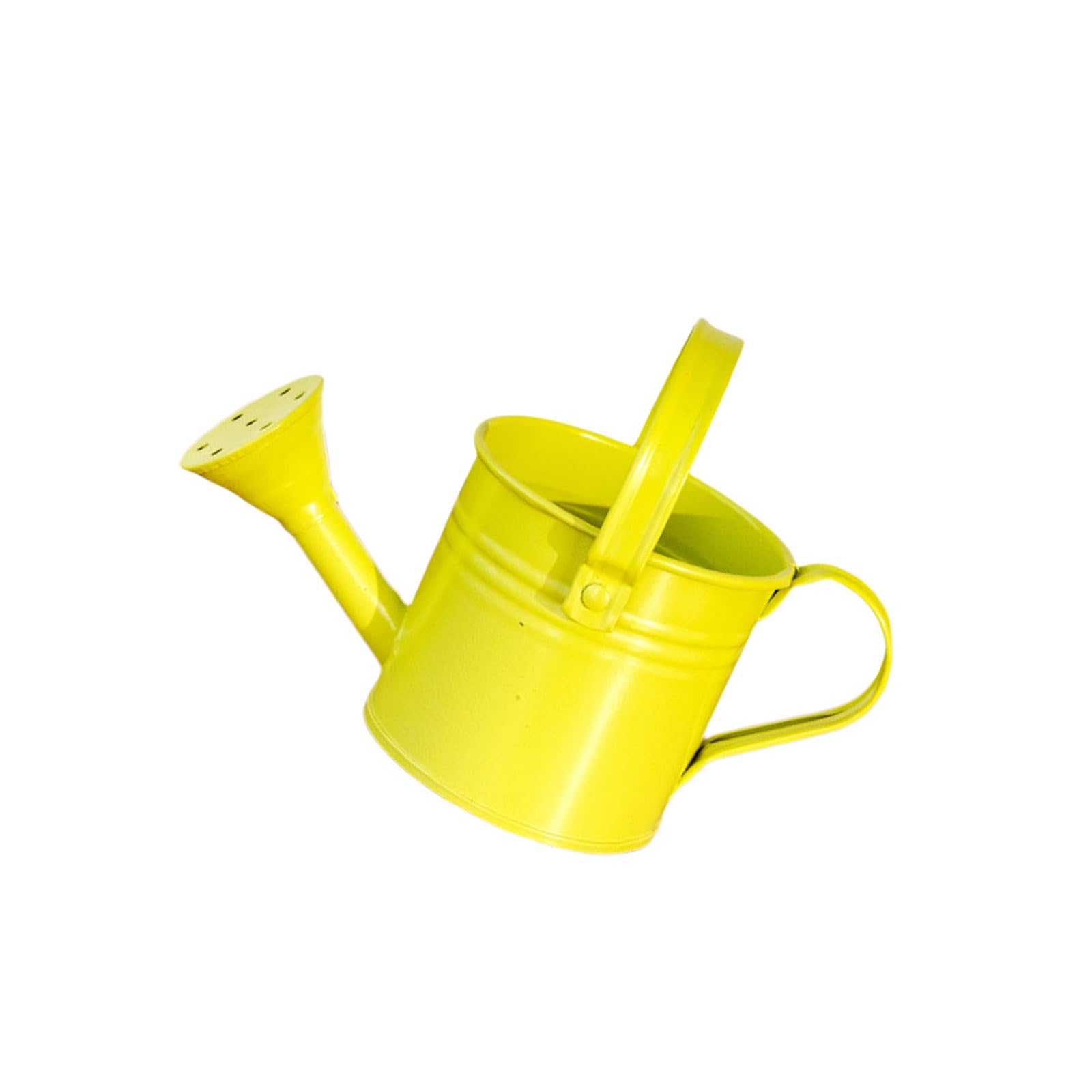 Multipurpose Lightweight Watering Can Featuring Fine Sprays and for Various Tasks Garden Irrigation Sprayer