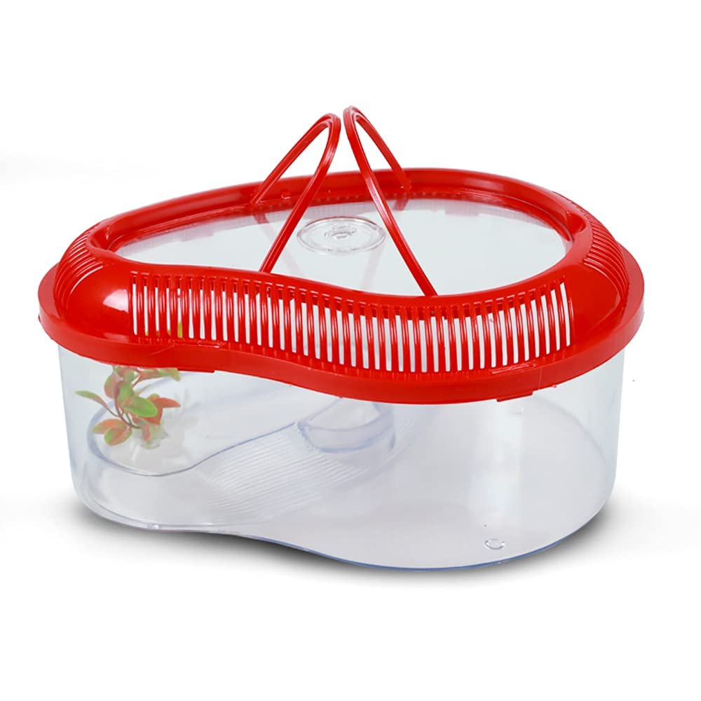 India pet shopTurtle House Reptile Carrier - Medium (Color May Vary) (B0CBHQG49G) Amazon Price History, Amazon Price Tracker