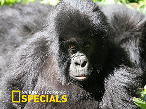 National Geographic Specials