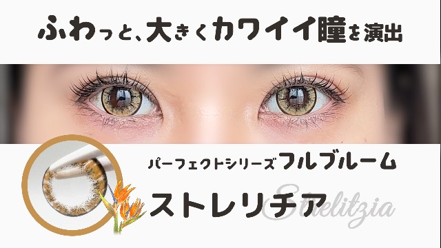 Amazon | パーフェクトシリーズ フルブルーム 度なし コスプレ
