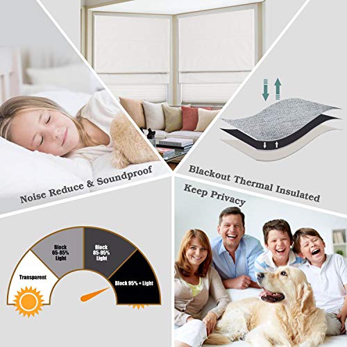 image for Artdix Cordless Roman Shades Blinds Window Shades - White (1 Piece) Bl