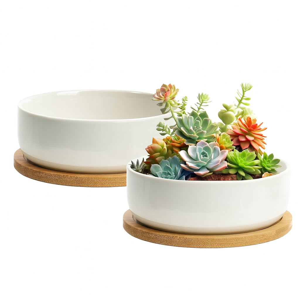 ZOUTOG Plant Pot 6 Inch,Ceramic Succulent Pots for Flower with Drainage and Tray,Succulent Planters for Indoor Plants White Round with Home,Office,Pack of 2
