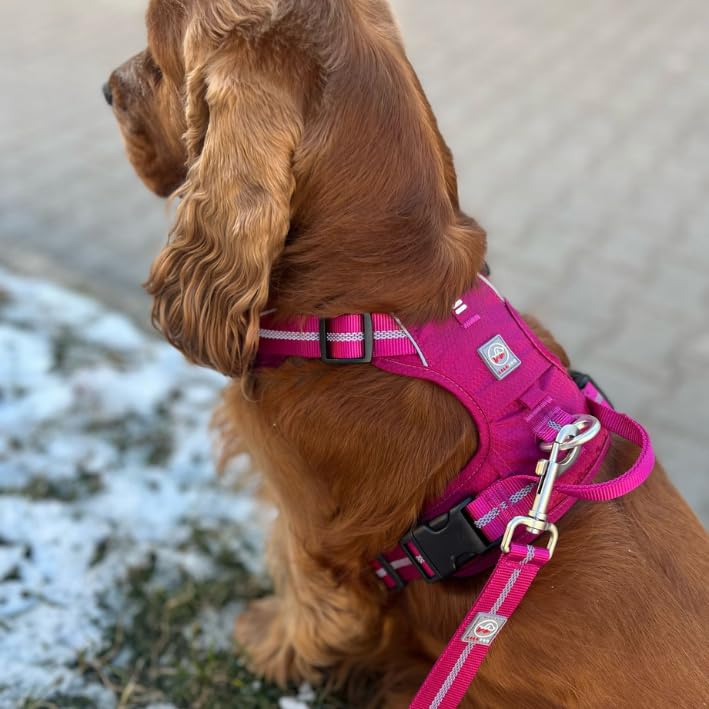 Lalazoo Adventure Hundegeschirr Typ Guard – No-Pull verstellbar gepolstert & reflektierend mit Griff Zwei Leinenbefestigungen & Tasche wasserabweisend für kleine mittelgroße & große Hunde – Rot, M