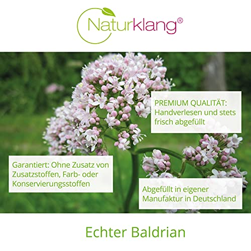 Baldrian Naturklang 100g | Baldrianwurzel Frisch und aromatisch Baldriantee auch als Catnip für Katzen bestens geeignet