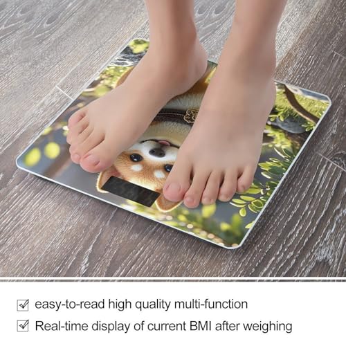 Báscula Digital para Baño en Vidrio Templado miniatura 5