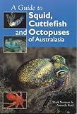 A Guide to Squid, Cuttlefish and Octopuses of Australasia