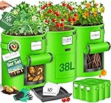 KESSER® Kartoffel-Pflanzsack 9-Set 38L | Kartoffel-Pflanzbeutel aus Vlies mit Namensschildern | Pflanztasche mit Fenster & Griffen | Kartoffelpflanzgefäß waschbar mit Handschuhen & Arbeitsmatte Grün